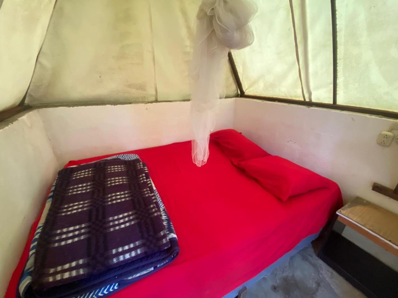 بيت شباب Gran Colibri Adventure Park سان بيدرو لا لاغونا المظهر الخارجي الصورة